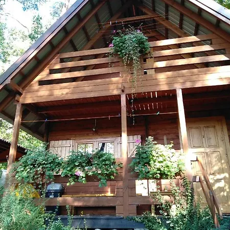 Chatki Saturnina I Chata *