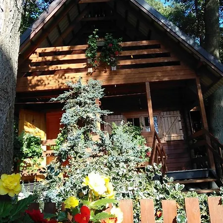 Domek letniskowy Chatki Saturnina I