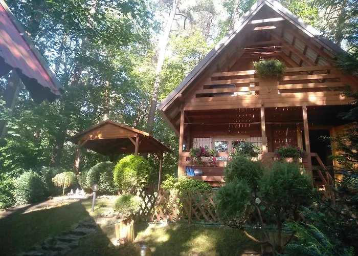 Chatki Saturnina I *