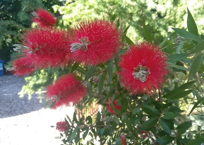 Chatki Saturnina I Lodge