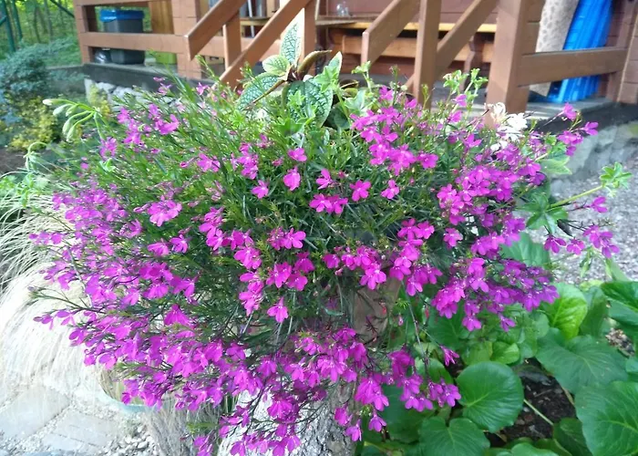 Chatki Saturnina I Lodge *